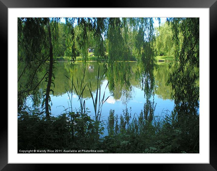 Trees overhanging lake Framed Mounted Print by Mandy Rice