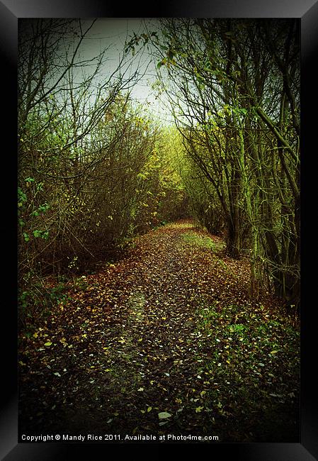 Leafy path Framed Print by Mandy Rice