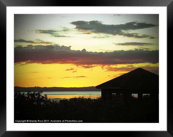 Bird lookout at sunset Framed Mounted Print by Mandy Rice