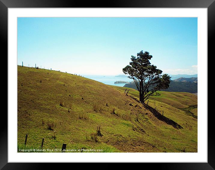 Along the Coromandal Peninsular NZ Framed Mounted Print by Mandy Rice