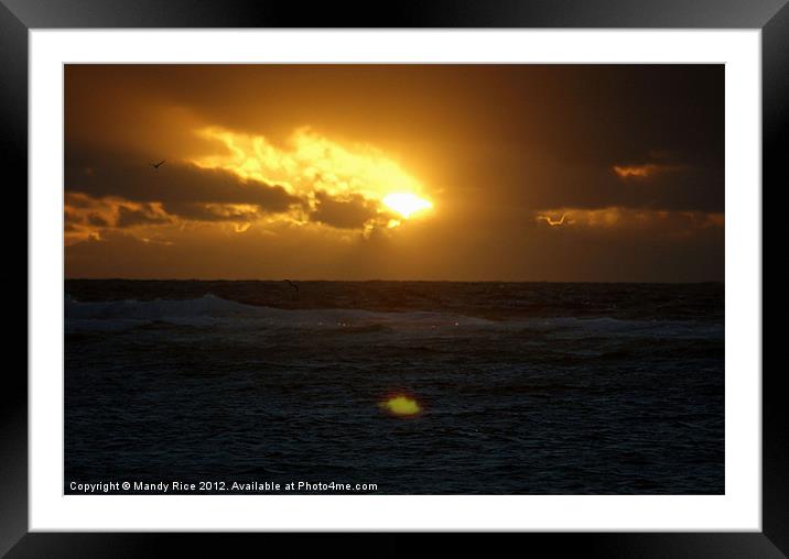 Sunrise on the Barrier Reef Framed Mounted Print by Mandy Rice