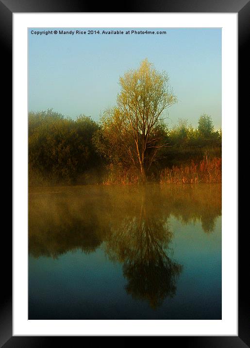  Tree reflection Framed Mounted Print by Mandy Rice