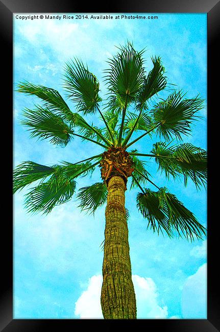  Palm tree Framed Print by Mandy Rice
