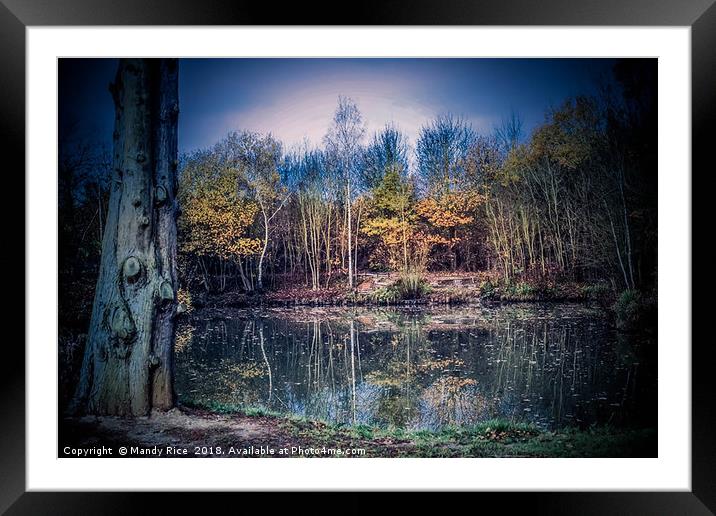 Trees by the lake Framed Mounted Print by Mandy Rice