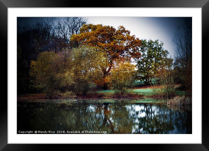 Trees over the lake Framed Mounted Print by Mandy Rice