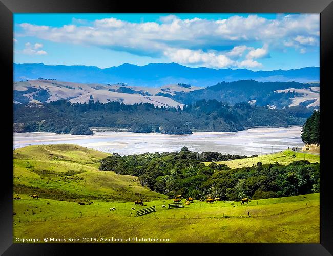 Up to the Coromandel Peninsular NZ Framed Print by Mandy Rice