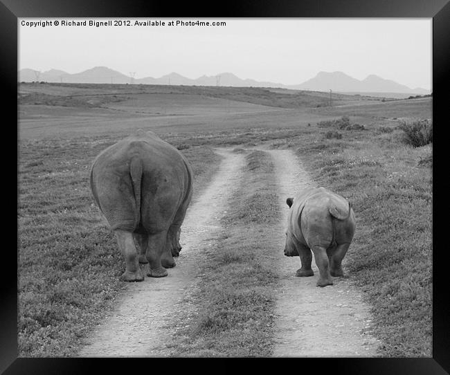 Heading Home Framed Print by Richard Bignell