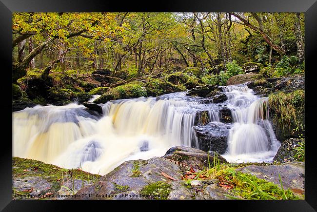 Loch Artlet Falls Framed Print by Fiona Messenger