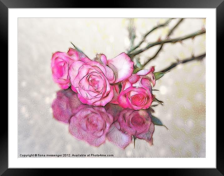 Three Roses Reflected Framed Mounted Print by Fiona Messenger