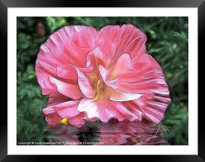Cistus Reflections Framed Mounted Print by Fiona Messenger