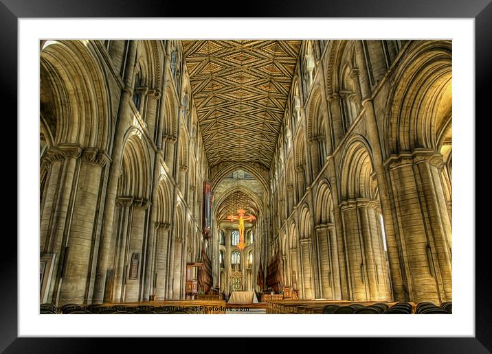 Peterborough Cathedral 3 Framed Mounted Print by Fiona Messenger