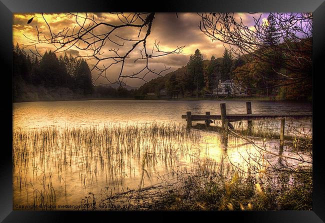 On Golden Loch Framed Print by Fiona Messenger