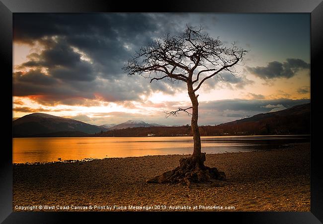 Bonny Banks Sunset Framed Print by Fiona Messenger