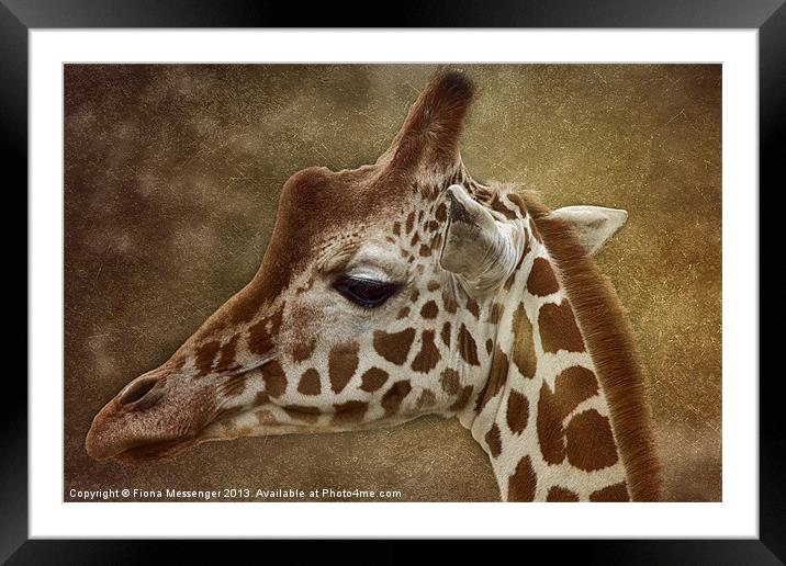 Its all in a Glance Framed Mounted Print by Fiona Messenger