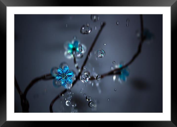 flower and drops Framed Mounted Print by dal kumar pun
