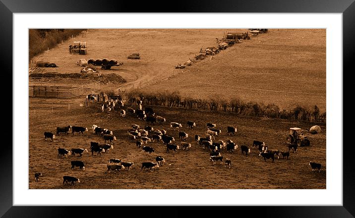 Feeding time in Sepia Framed Mounted Print by Sara Messenger