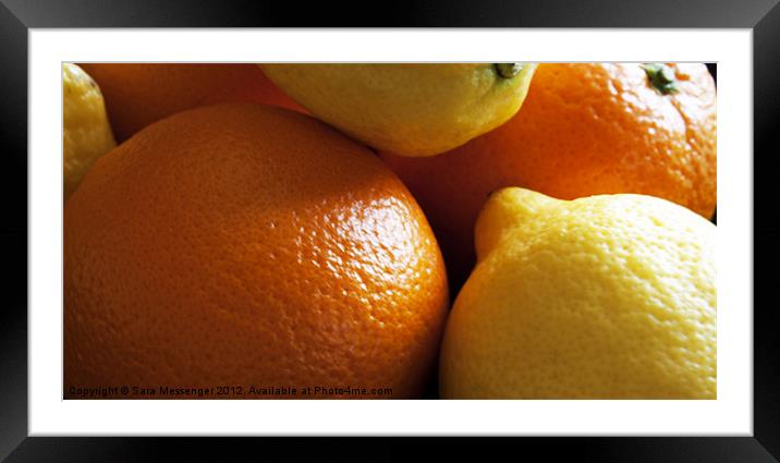 Oranges & Lemons Framed Mounted Print by Sara Messenger
