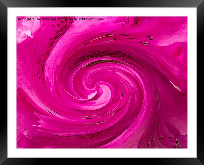  Pink swirl  Framed Mounted Print by Sara Messenger