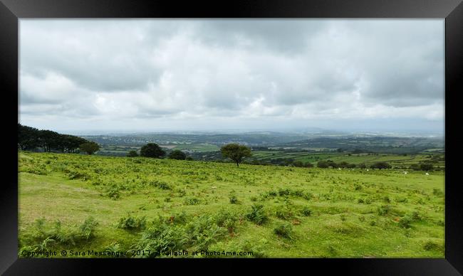 Dartmoor Views Framed Print by Sara Messenger