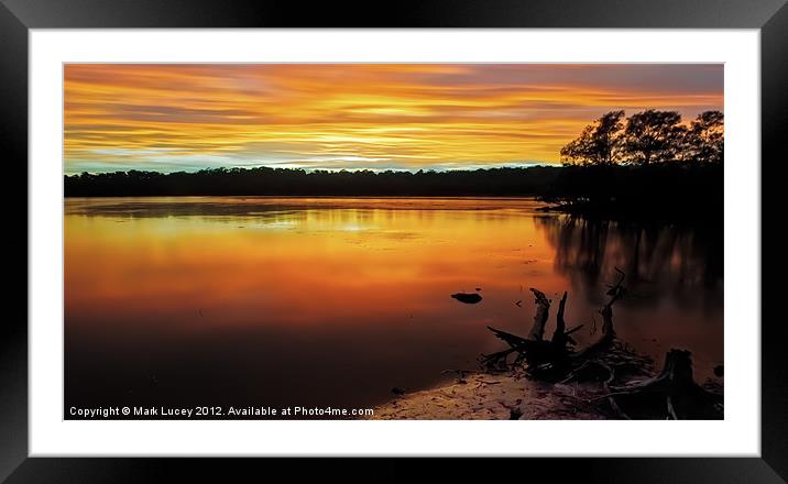 Colour of Narrabeen Framed Mounted Print by Mark Lucey