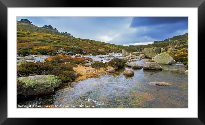 Head of the River Framed Mounted Print by Mark Lucey