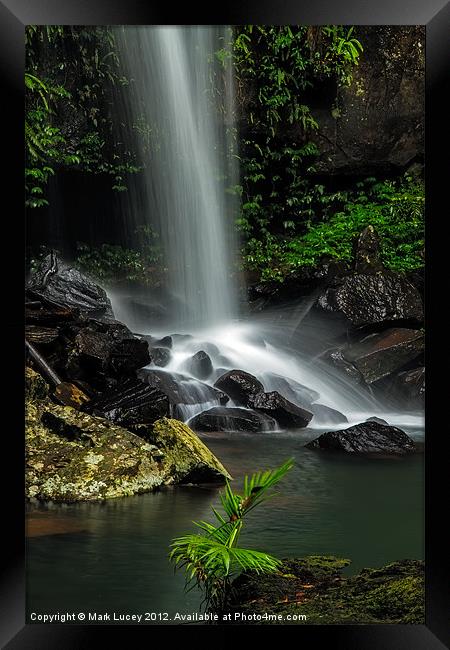 Droplets of Life Framed Print by Mark Lucey