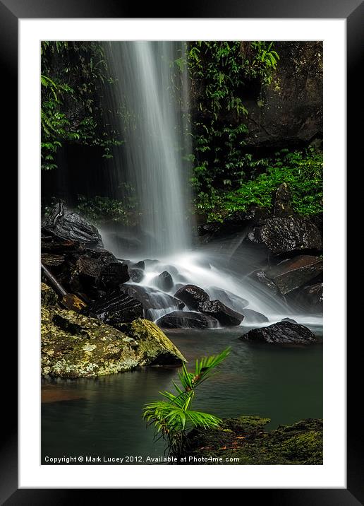Droplets of Life Framed Mounted Print by Mark Lucey