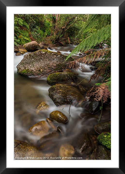 Mountain Creek Framed Mounted Print by Mark Lucey