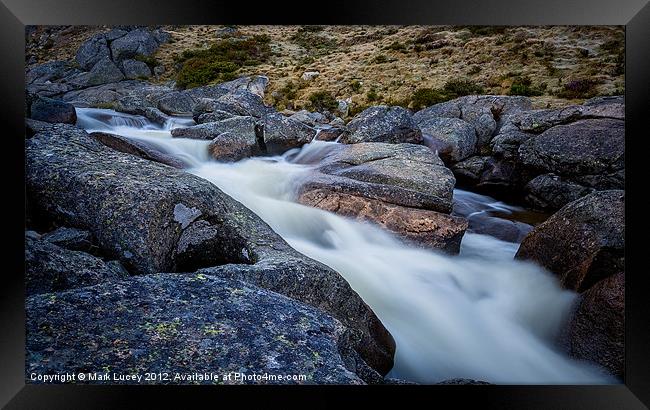 Aftermath of a Soaking Framed Print by Mark Lucey