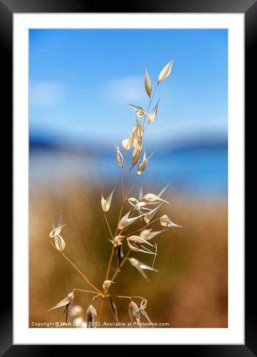 Pod by the Lake Framed Mounted Print by Mark Lucey