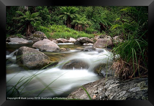 Between Fire and Tempest Framed Print by Mark Lucey