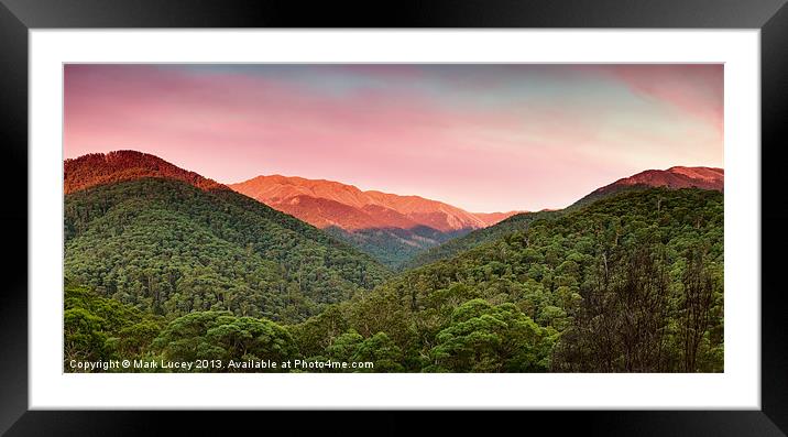 A Natural Highlight Framed Mounted Print by Mark Lucey