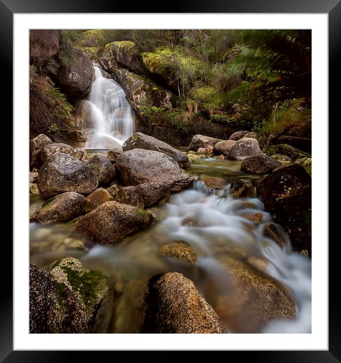 A Valiant Lady Framed Mounted Print by Mark Lucey