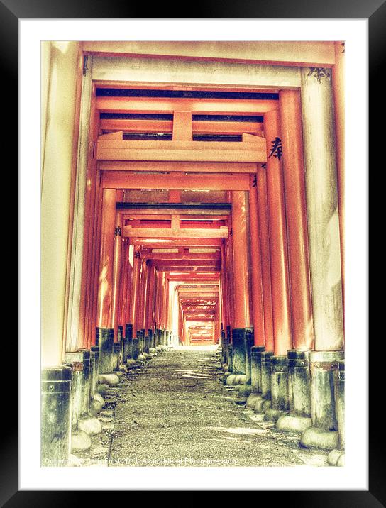 Torii Gate Tunnel Framed Mounted Print by Chris Frost