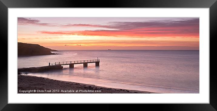 Pretty in Pink Framed Mounted Print by Chris Frost