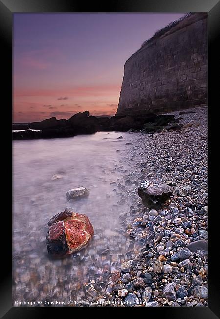 Wet Rocks at the Nothe Framed Print by Chris Frost