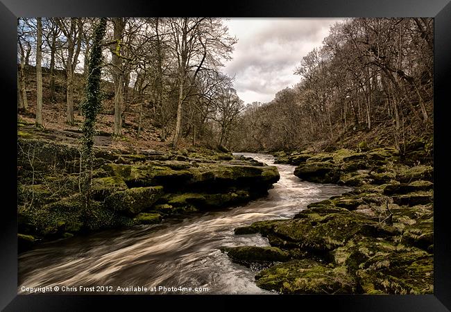 The Strid Squeeze Framed Print by Chris Frost