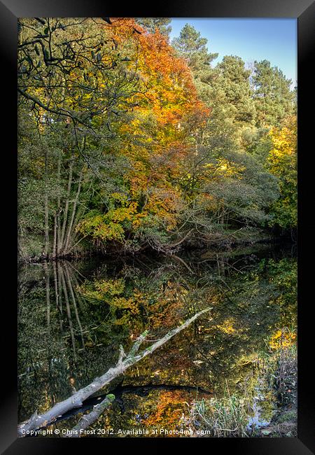 Nidd Gorge Autumn Reflections Framed Print by Chris Frost