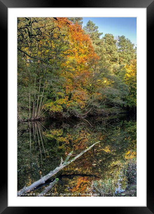 Nidd Gorge Autumn Reflections Framed Mounted Print by Chris Frost