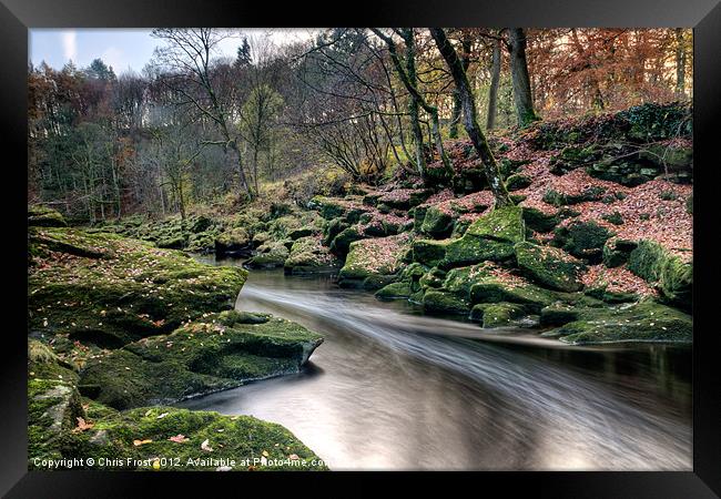 The Shimmering Strid Framed Print by Chris Frost