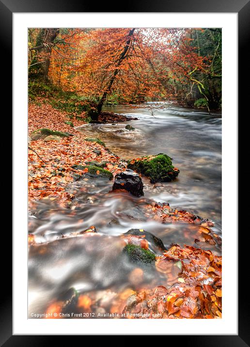 Winding away to Fingle Bridge Framed Mounted Print by Chris Frost
