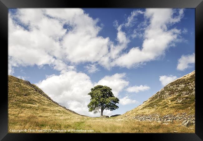 Sycamore Gap at Hadrians Wall Framed Print by Chris Frost