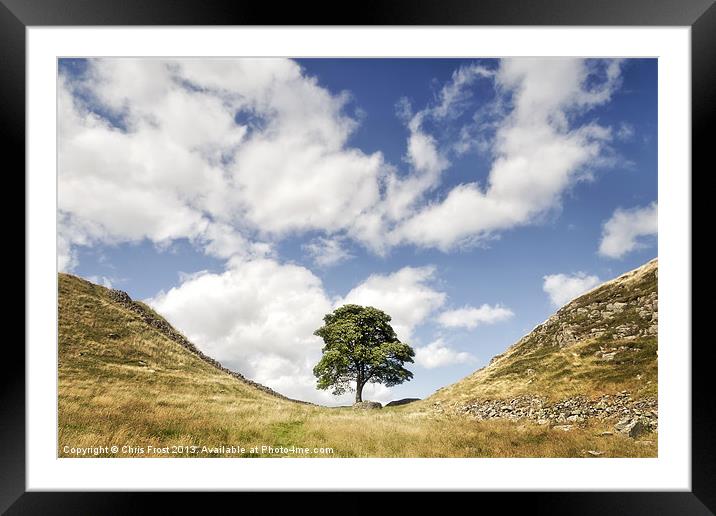 Sycamore Gap at Hadrians Wall Framed Mounted Print by Chris Frost
