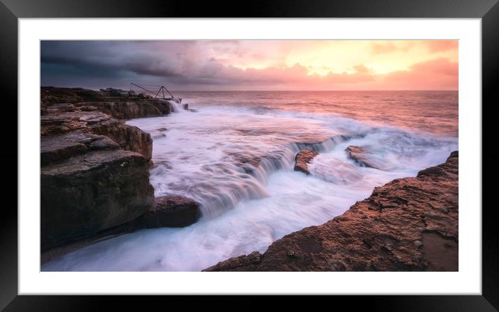 Red Crane Framed Mounted Print by Chris Frost