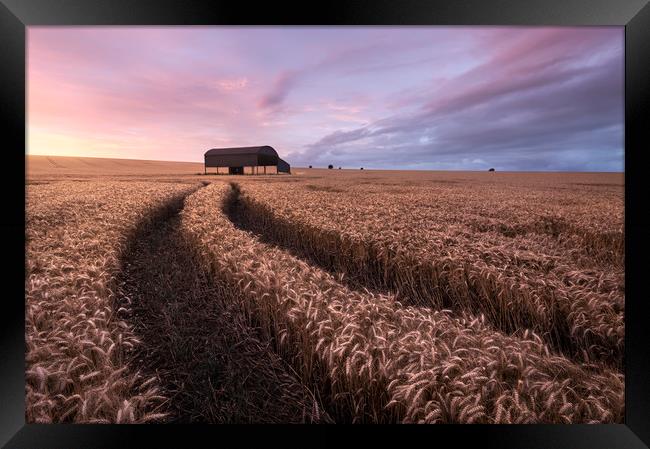 The Barn Framed Print by Chris Frost