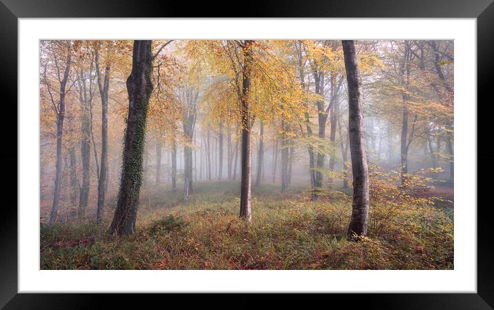 Autumnal Hooke Framed Mounted Print by Chris Frost