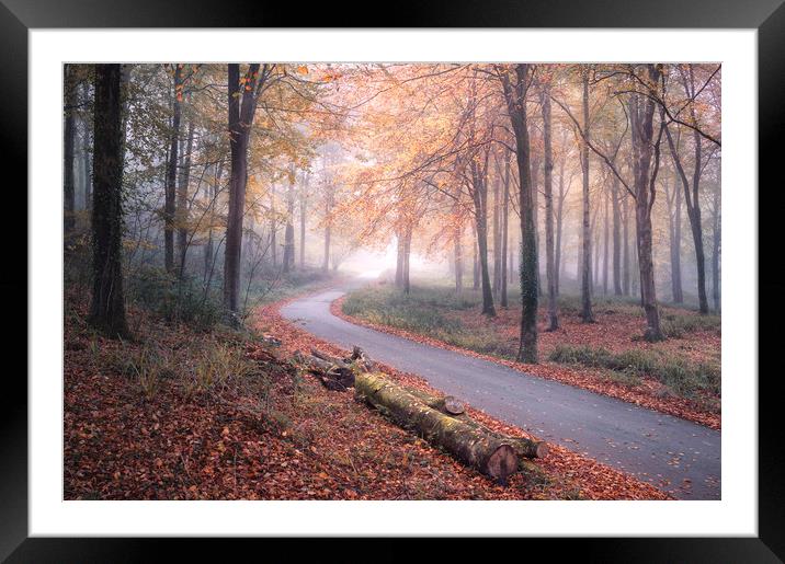The Lost Road Framed Mounted Print by Chris Frost