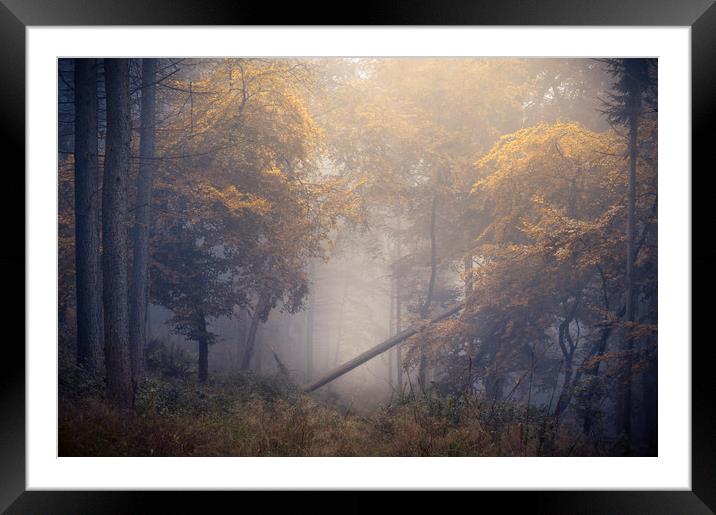 Kingswood Framed Mounted Print by Chris Frost