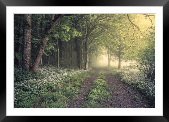 Pungent Pathway Framed Mounted Print by Chris Frost