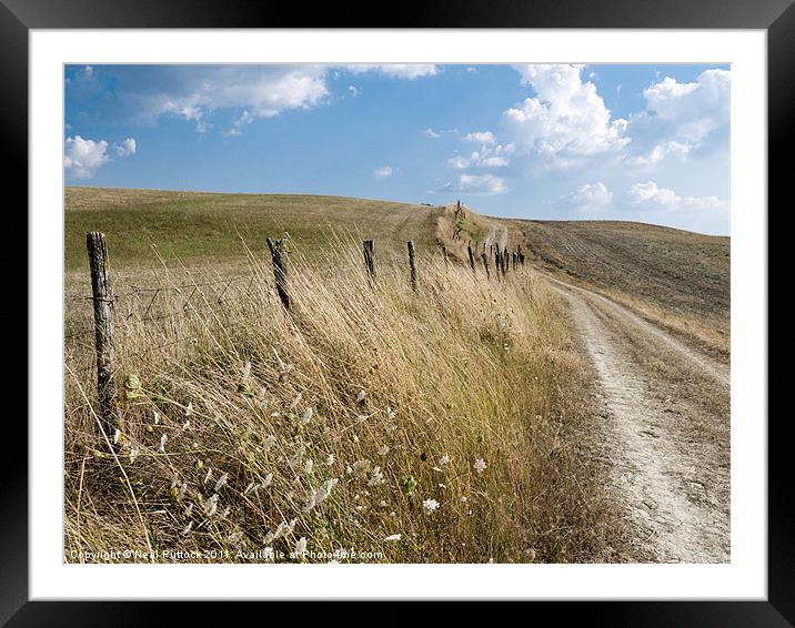 Path Through the Tuscan Hills Framed Mounted Print by Neal P